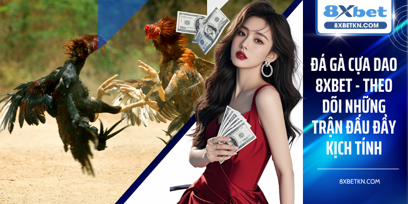 Đá Gà Cựa Dao 8XBET - Theo Dõi Những Trận Đấu Đầy Kịch Tính