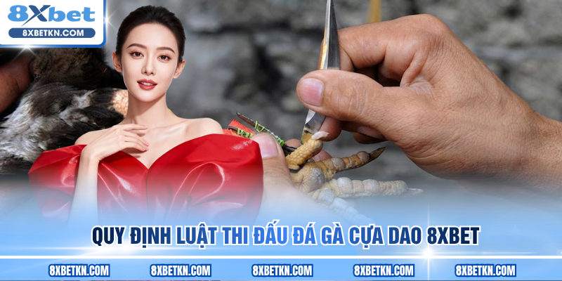 Quy định luật thi đấu đá gà cựa dao 8XBET Quy định luật thi đấu đá gà cựa dao 8XBET